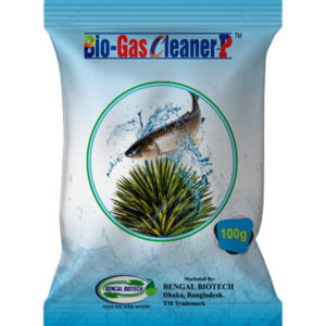 Bio Gas Cleaner P™
